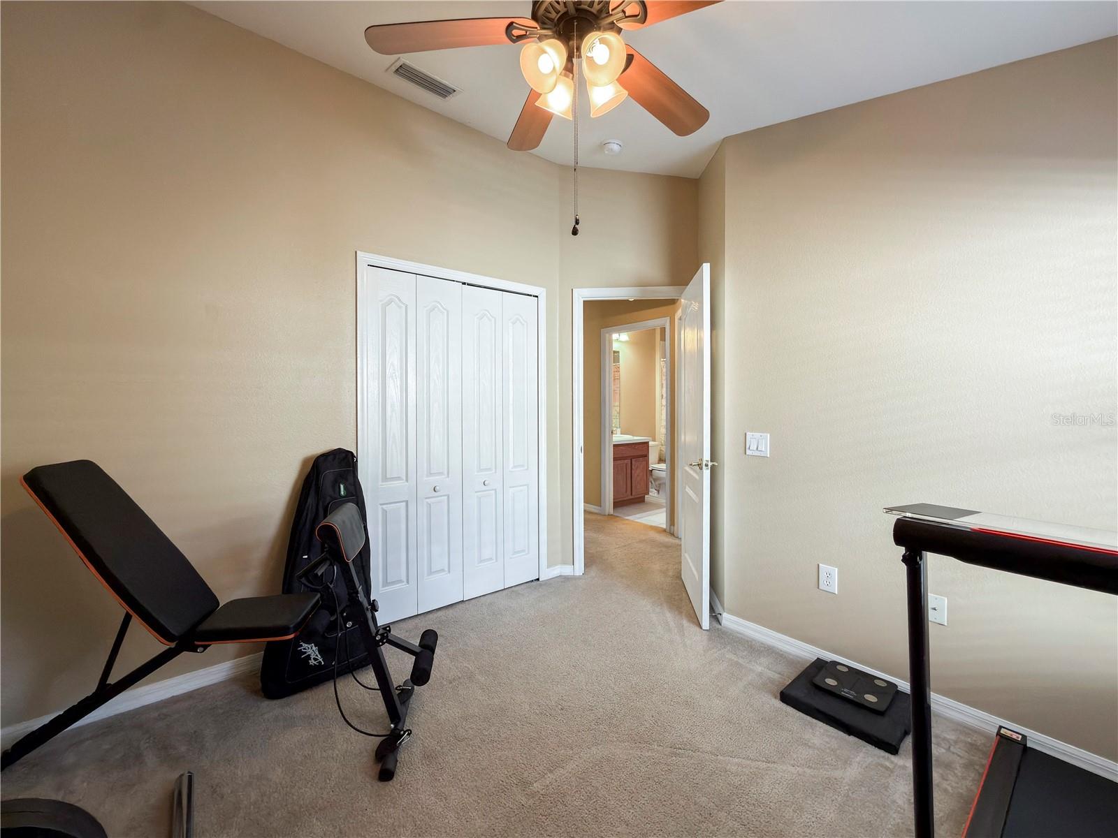 Large closet in guest bedroom, large closet, vaulted ceilings