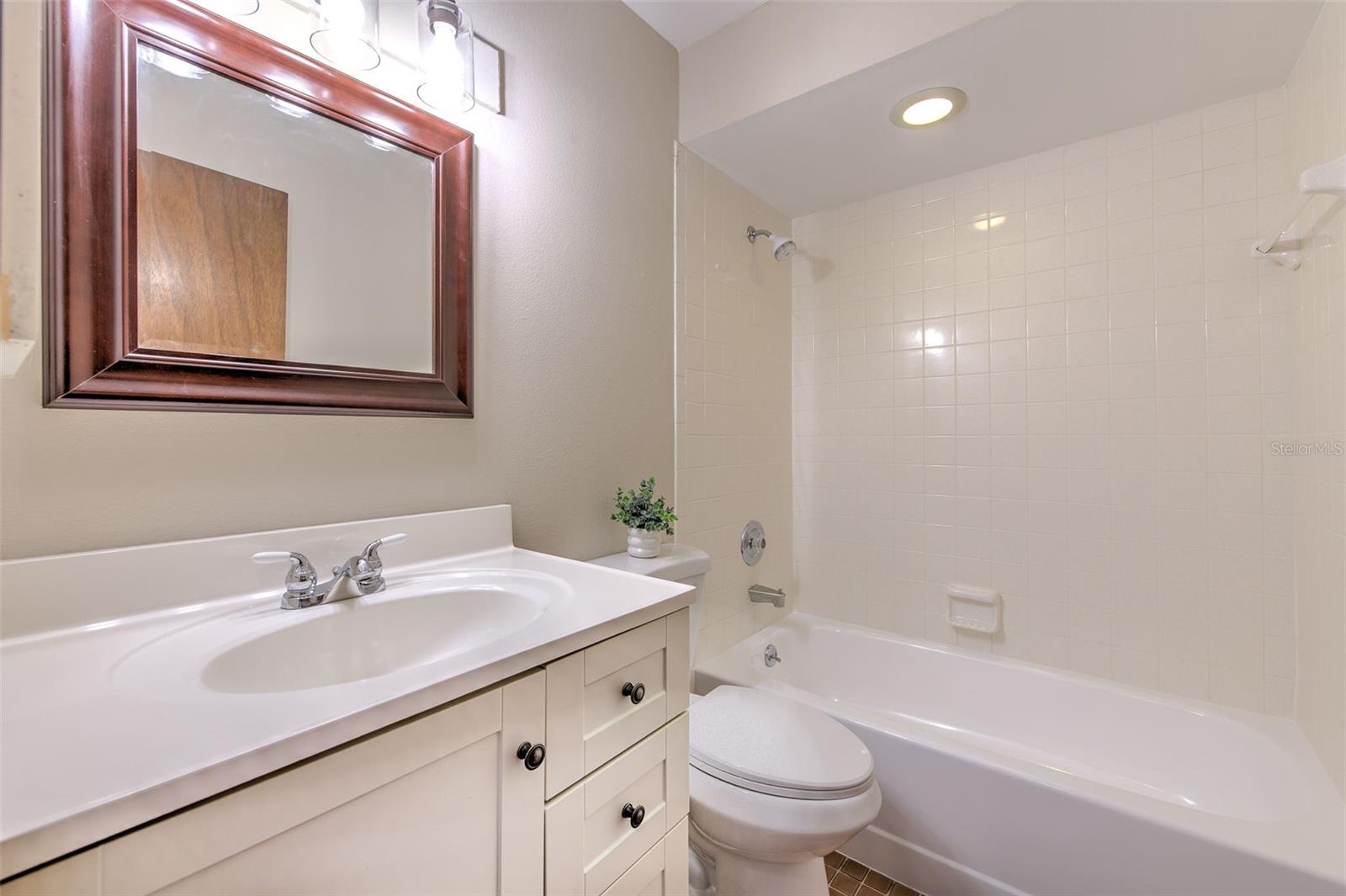 Full hallway bathroom