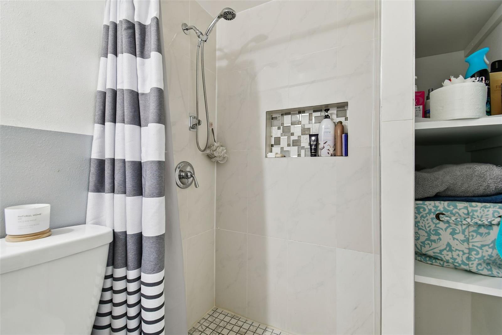 Primary Shower and shelves for storage