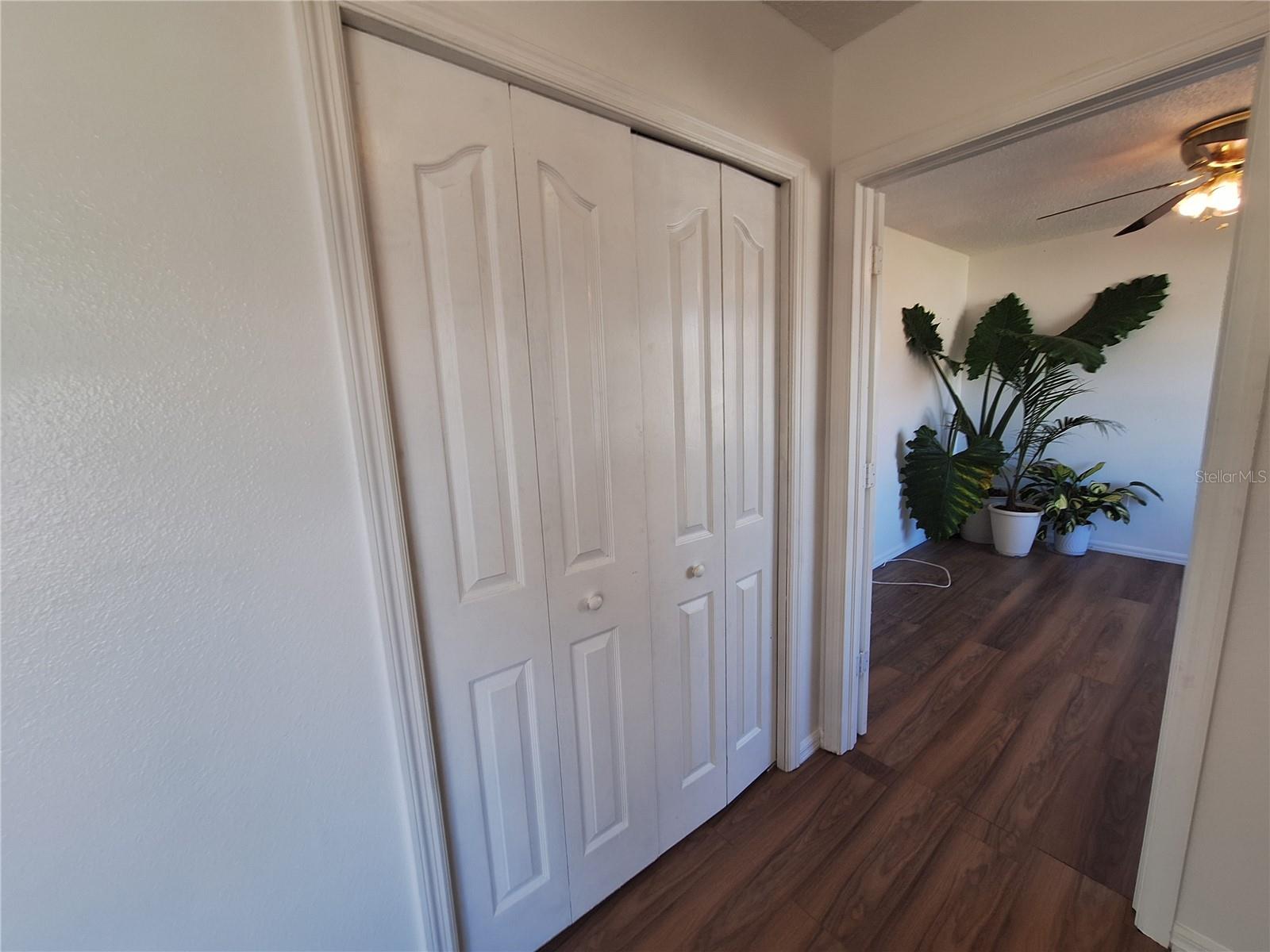 Closet just outside Den Door