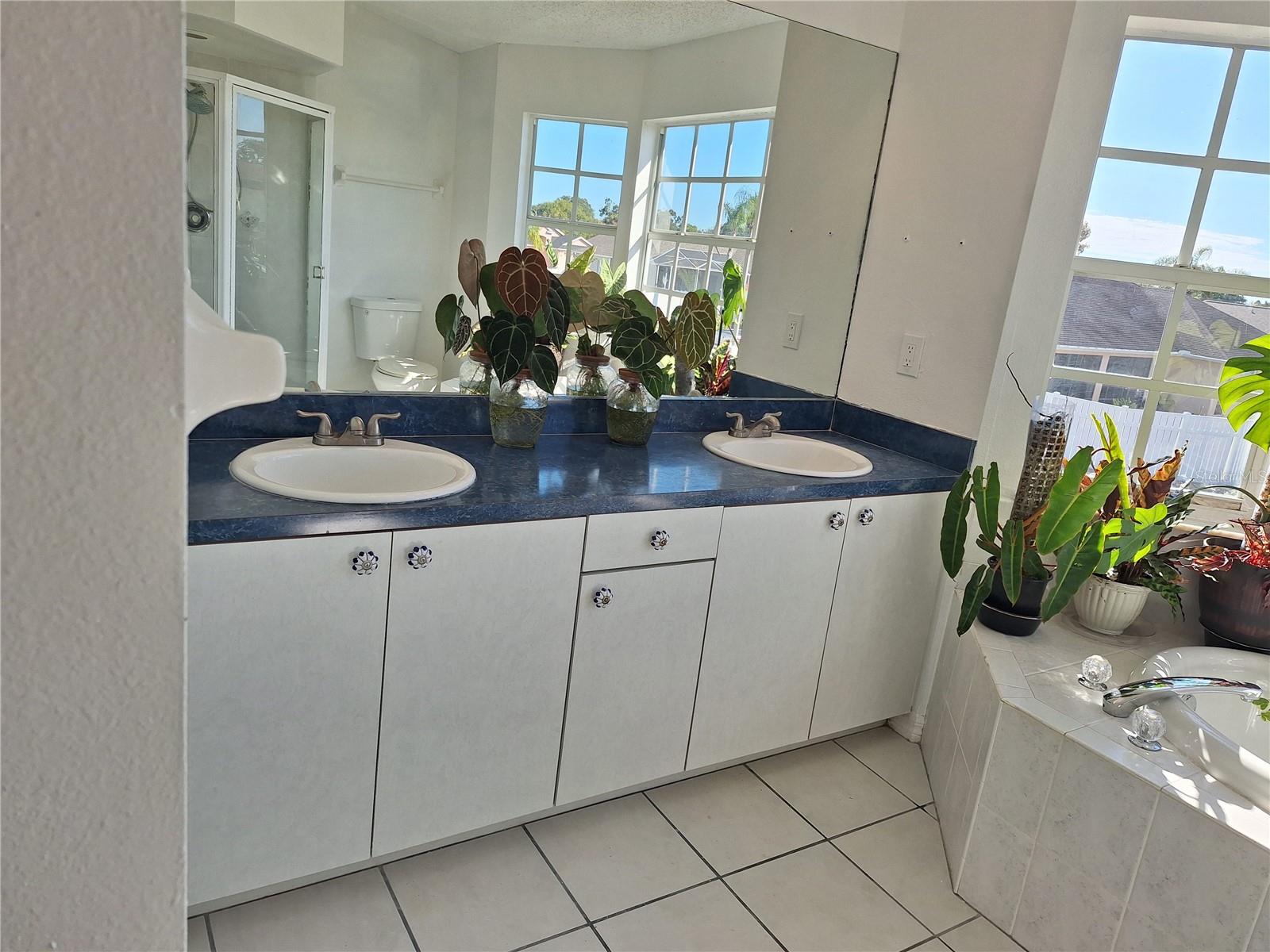 Primary Bathroom with Soaker Tub and Shower