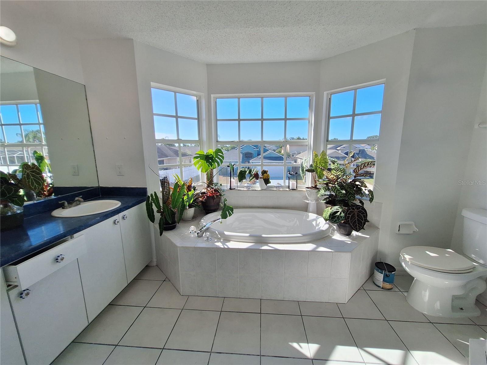 The Ultimate Bathroom