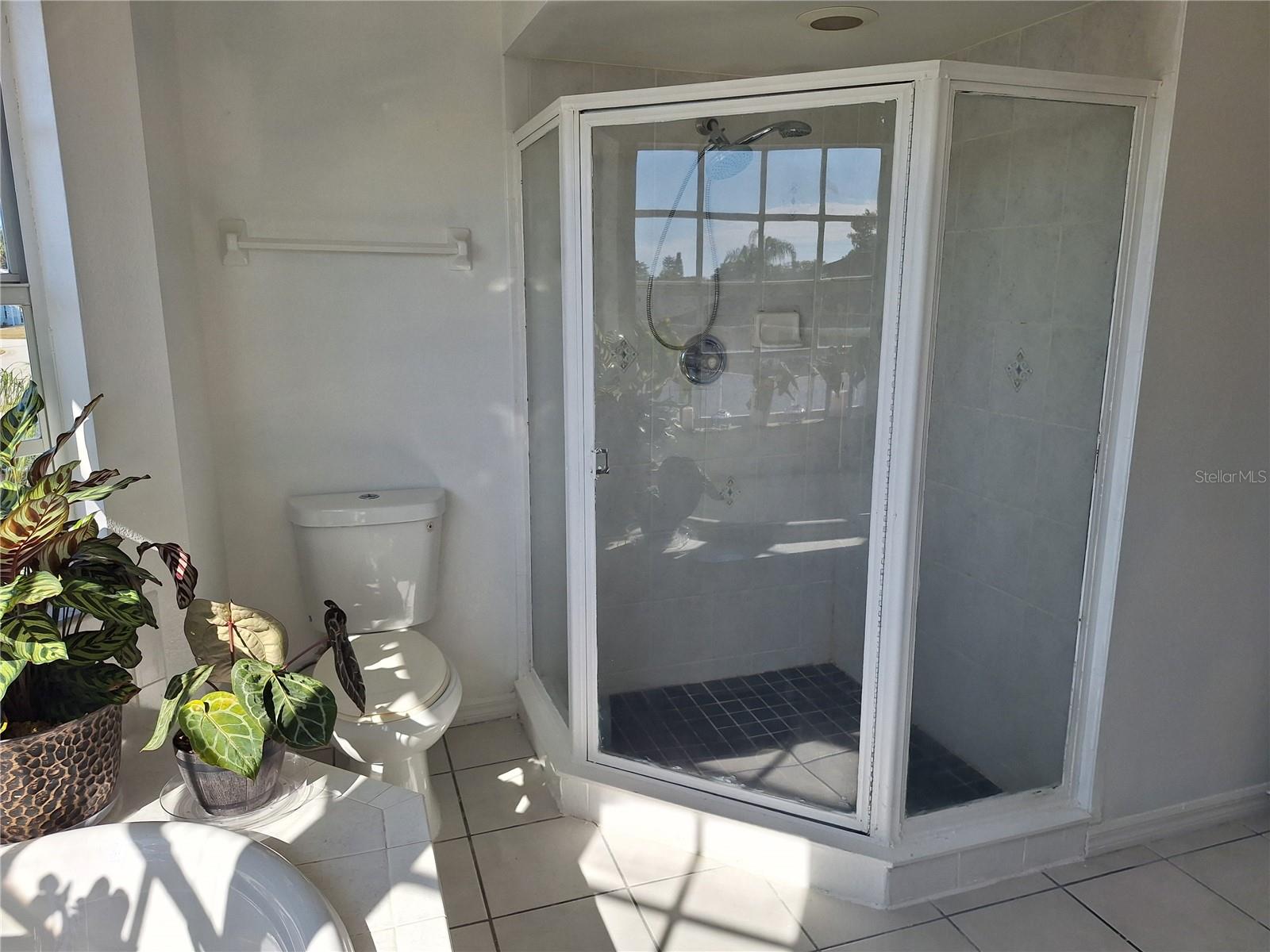 Roomy Separate Shower