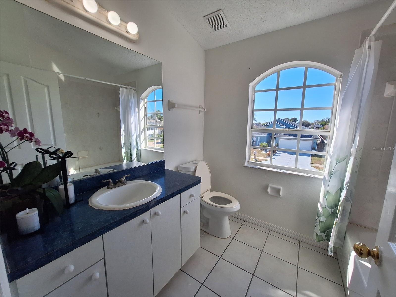 Spectacularly Pretty Hall Bathroom Upstairs.