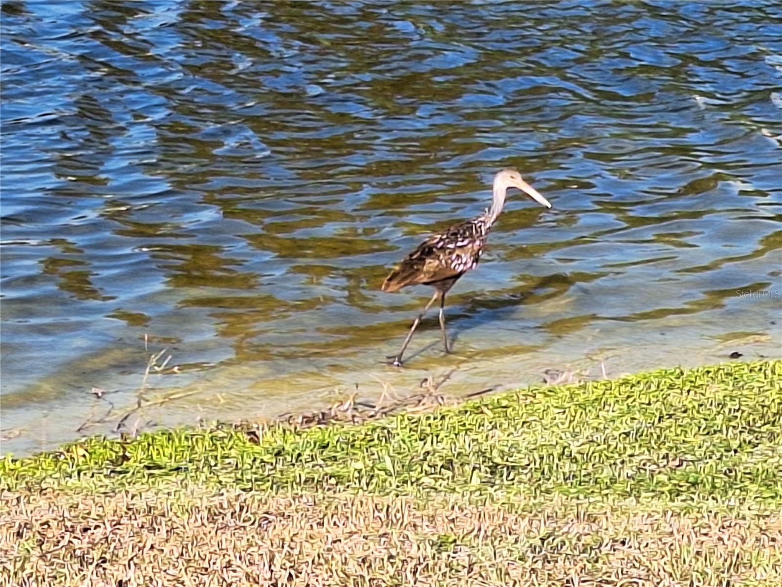 Visitors are welcome