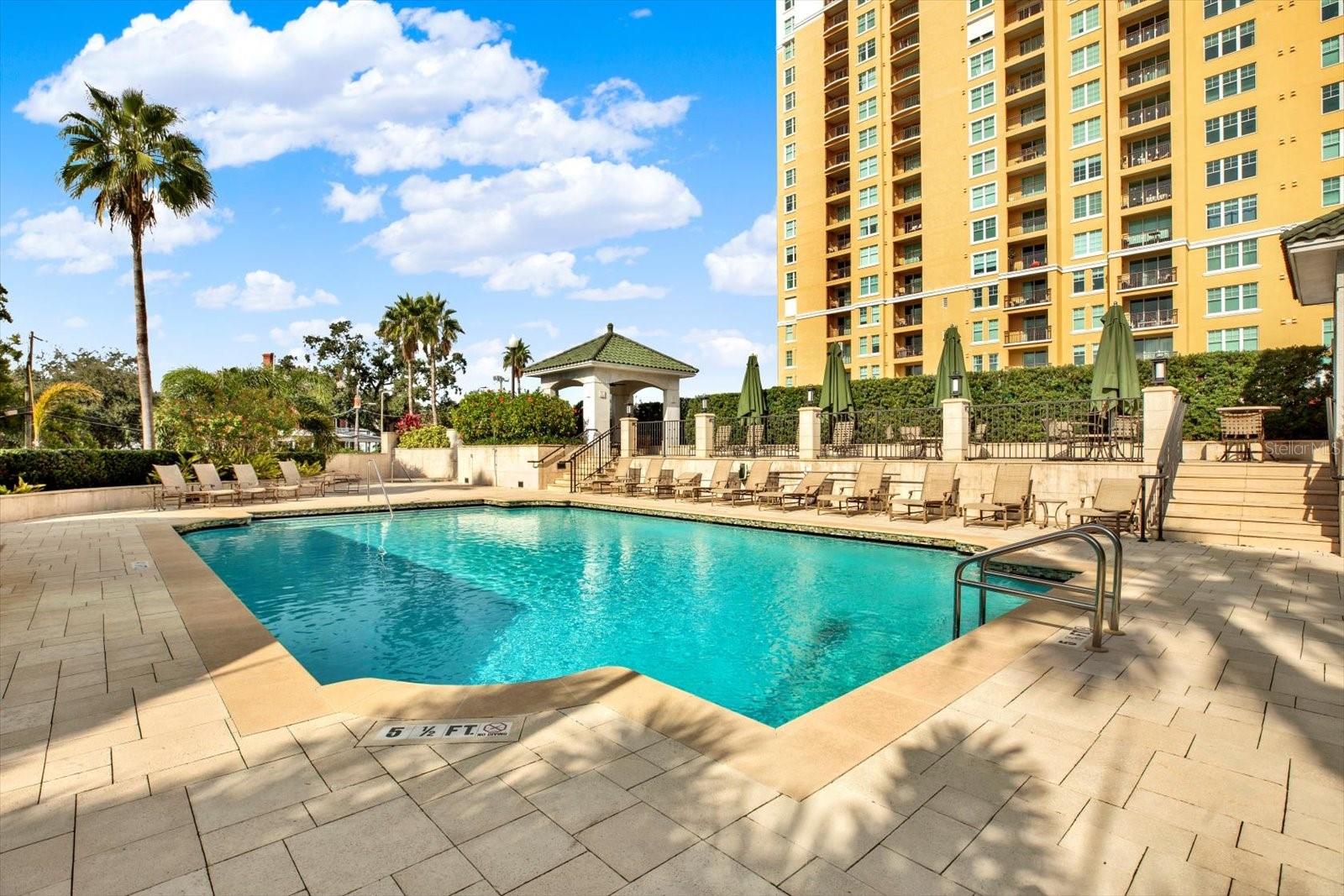 345 Bayshore Blvd Pool