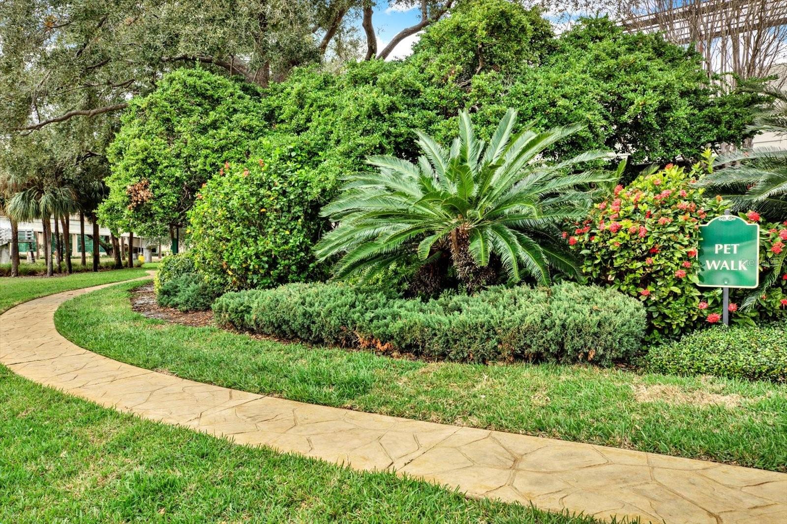 345 Bayshore Blvd Dog Walk