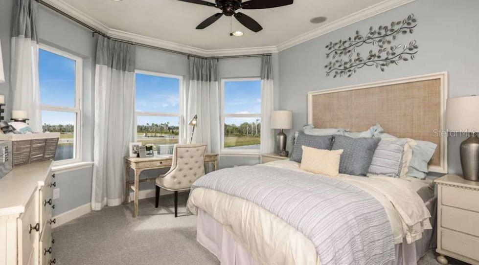 Representative Photos