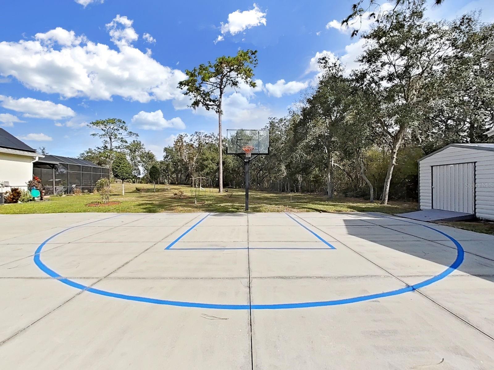 BASKET BALL COURT