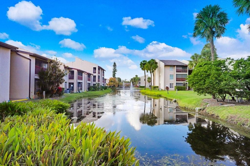 Pond Behind Condo