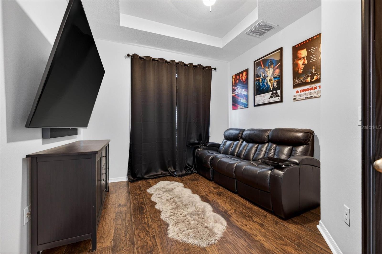 Movie Room/Office