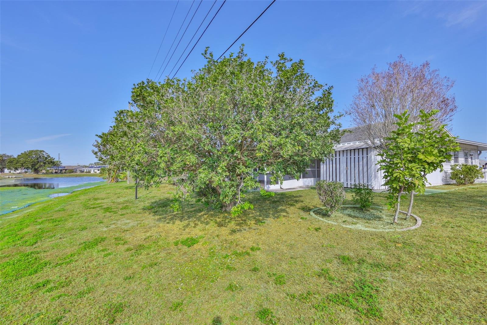 Large back yard with Lake behind