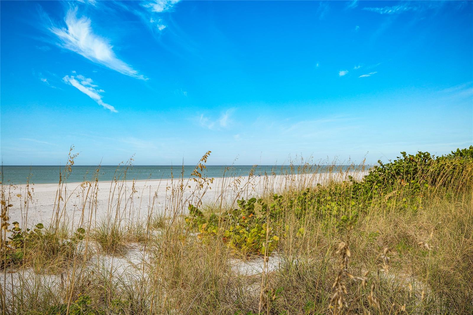 Treasure Island Beach just a 2 minute drive away