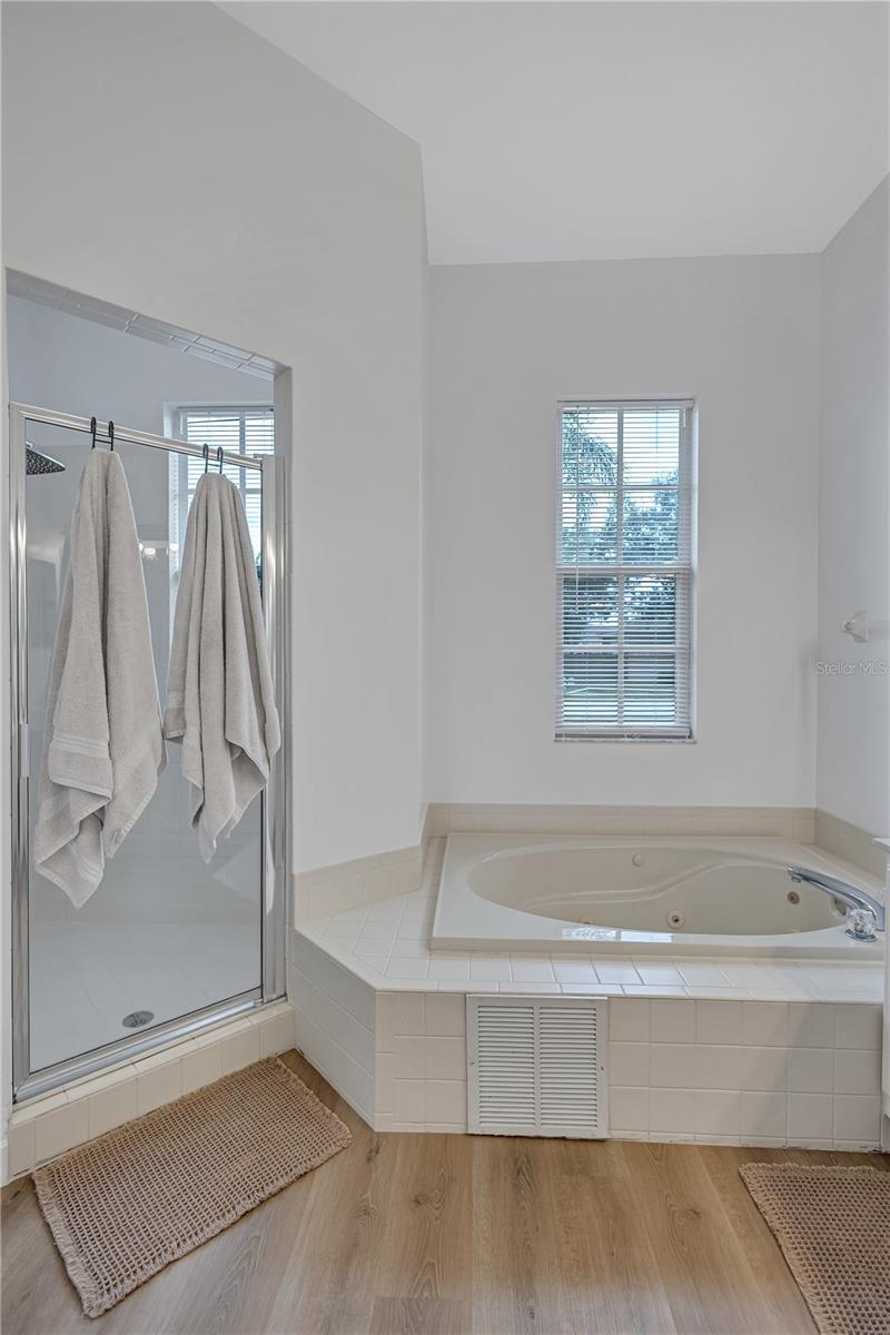 Spa Soaking Tub with Jets and Separate Walk-In Shower