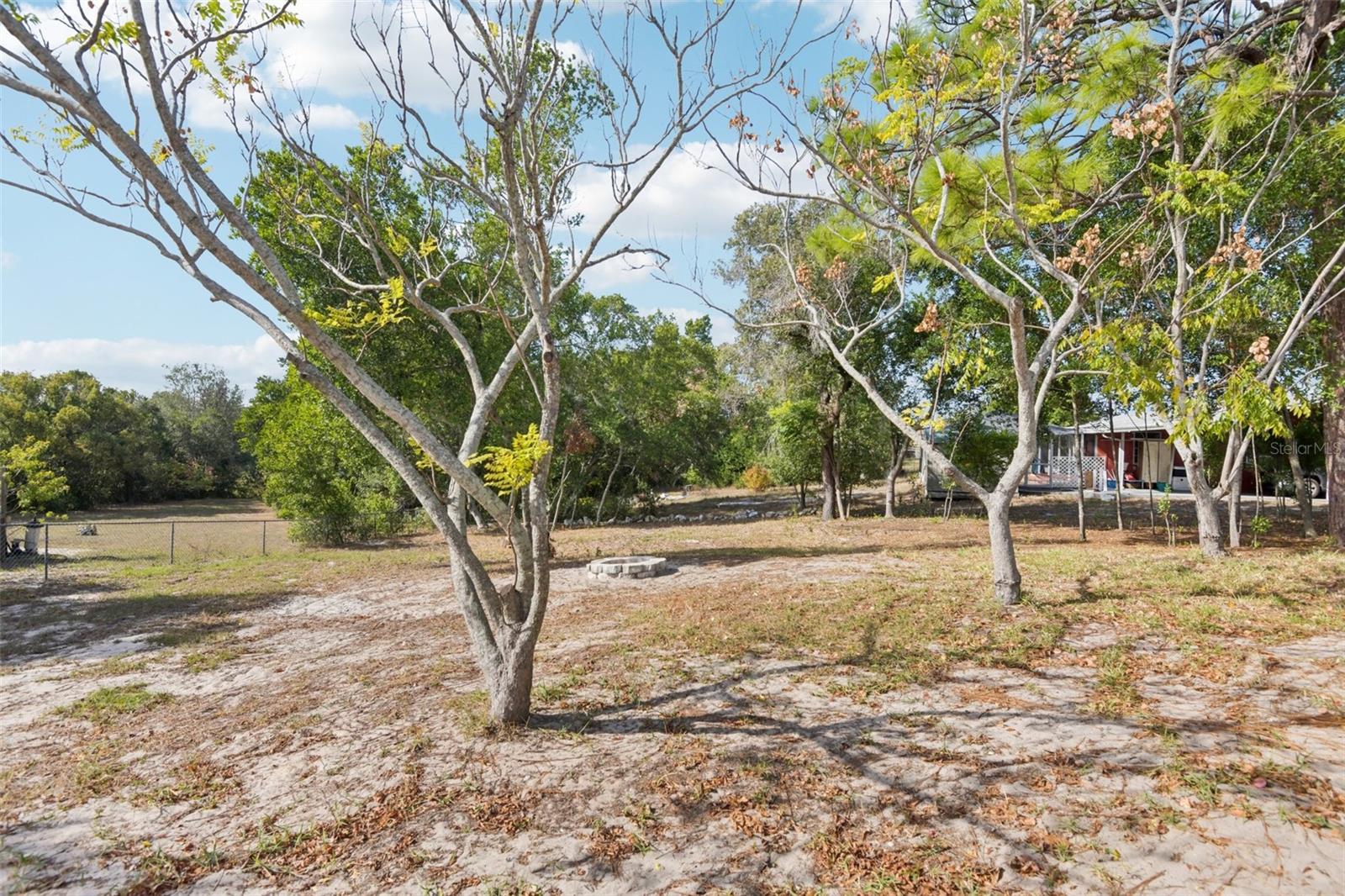 Backyard with Fire Pit
