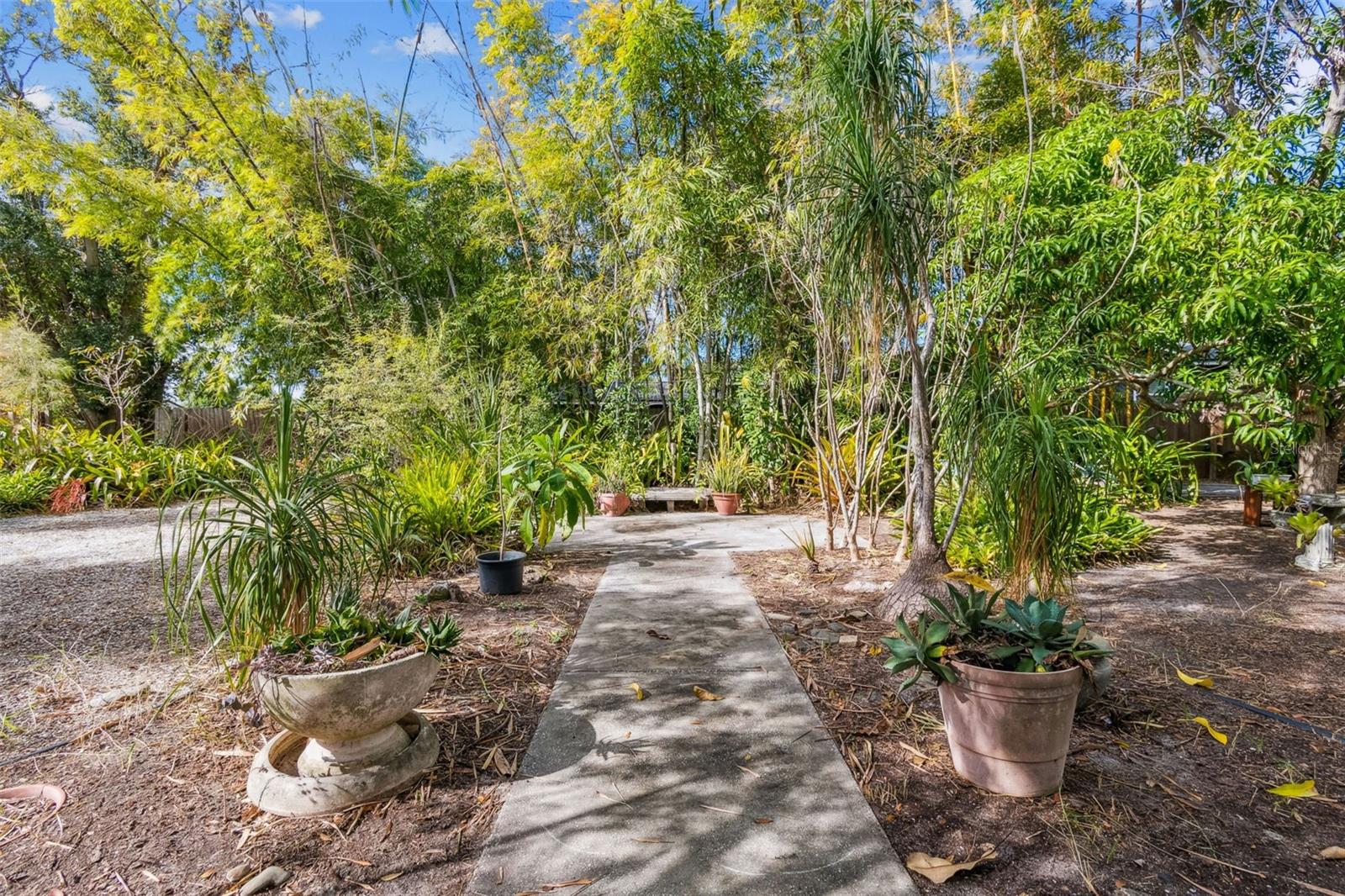 Backyard Walkway and Gardens