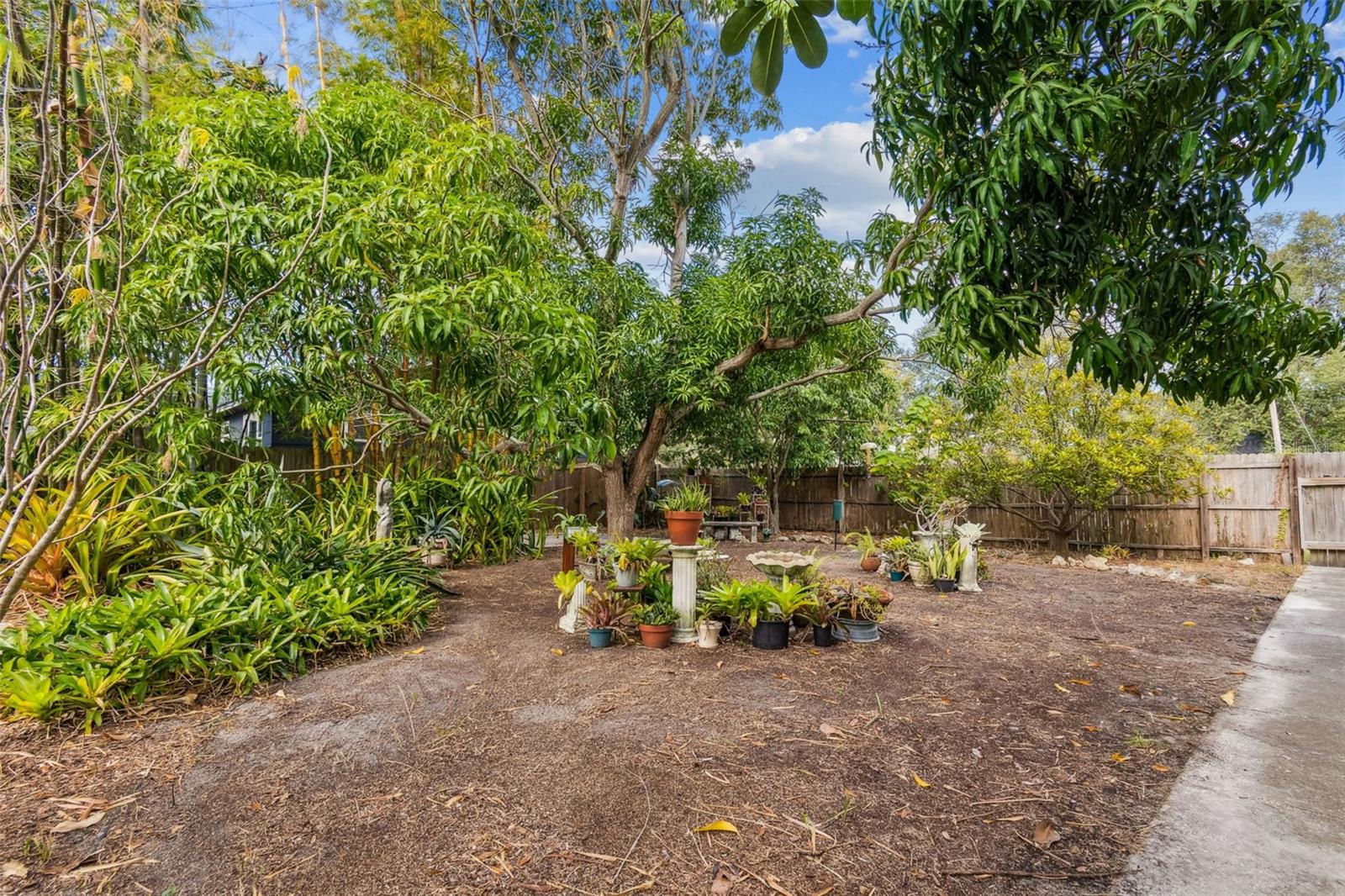 Backyard Walkway and Gardens