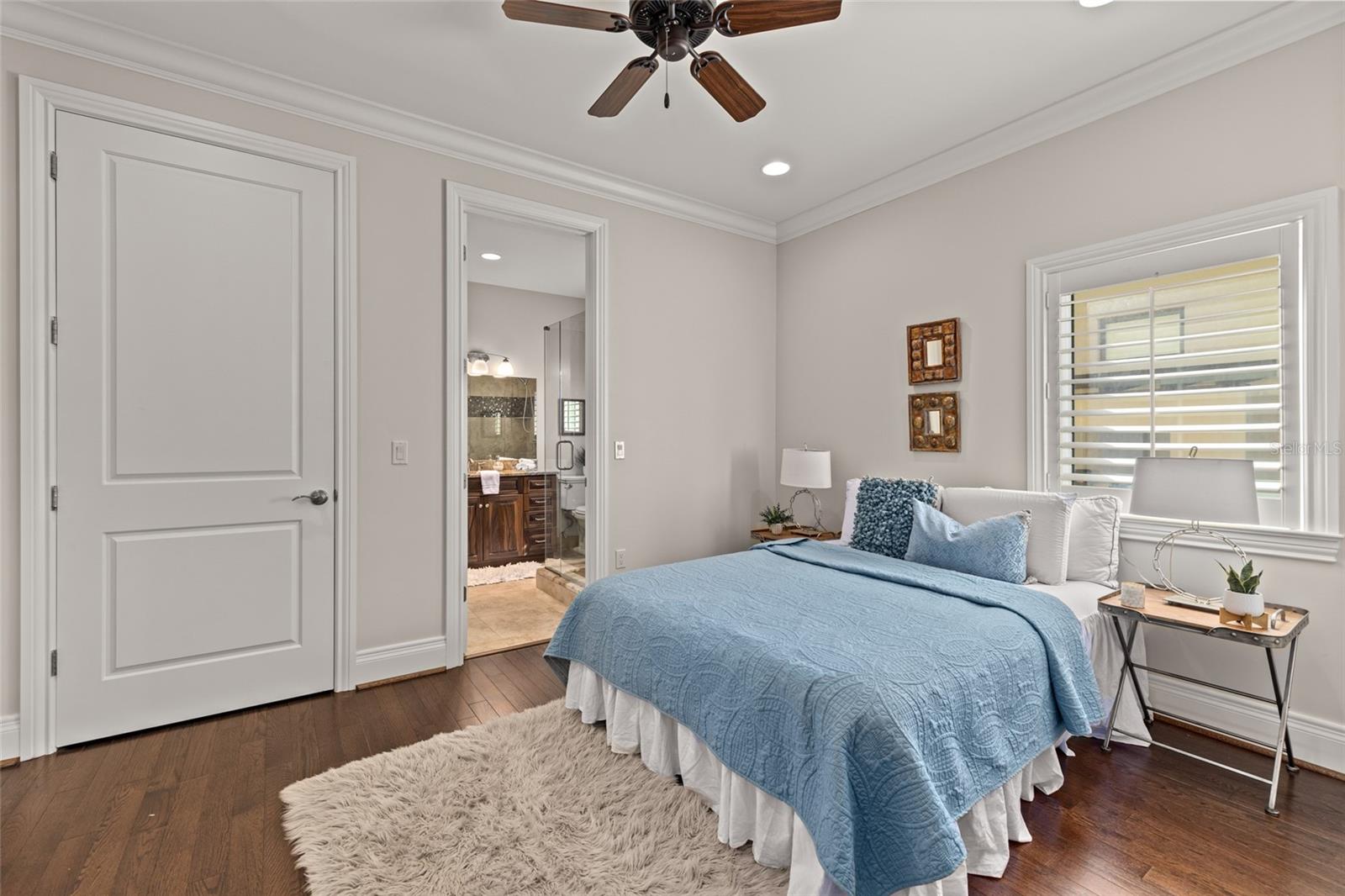 5th Bedroom Suite (downstairs)