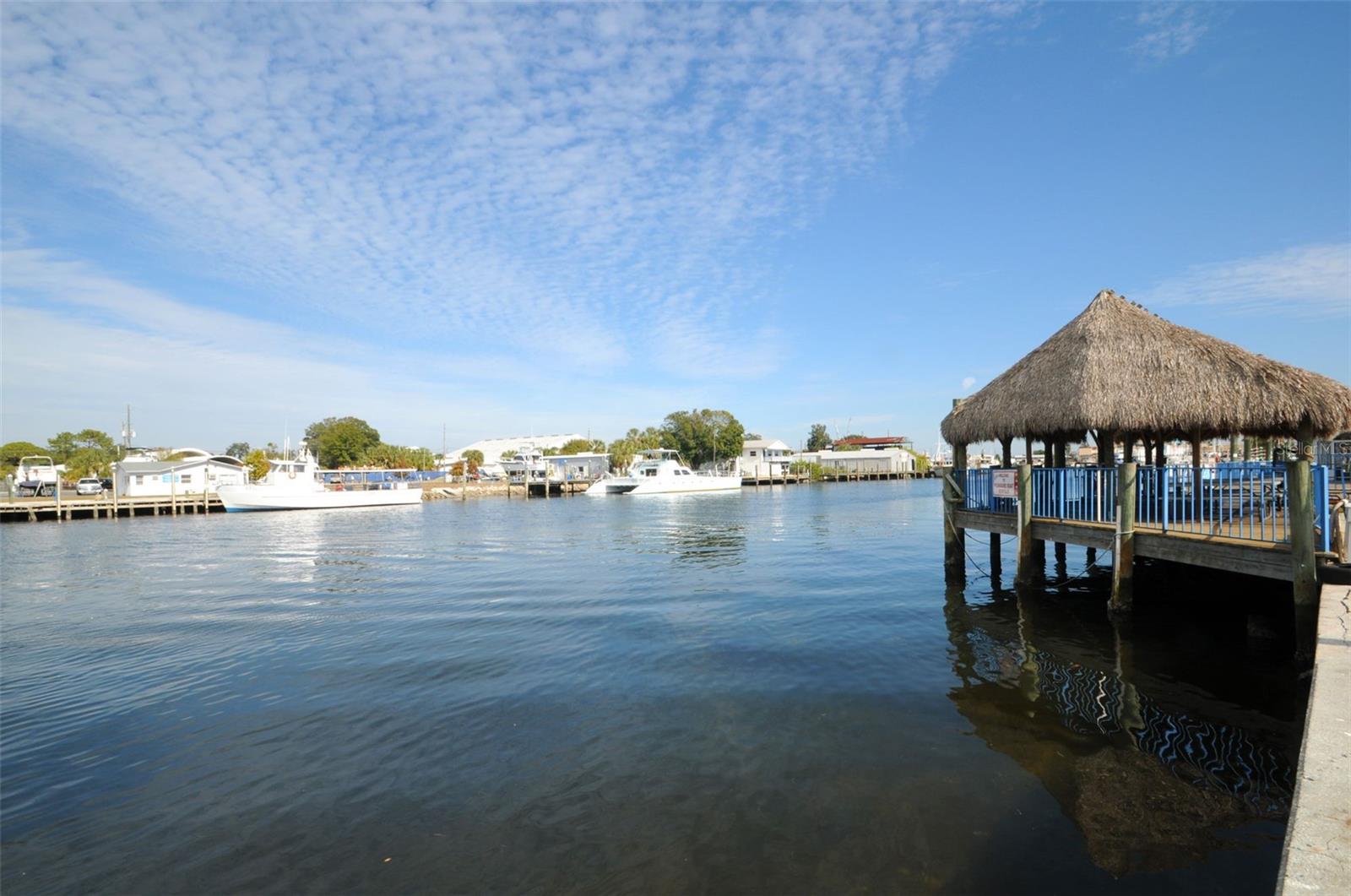 Tarpon Springs Sponge Docks