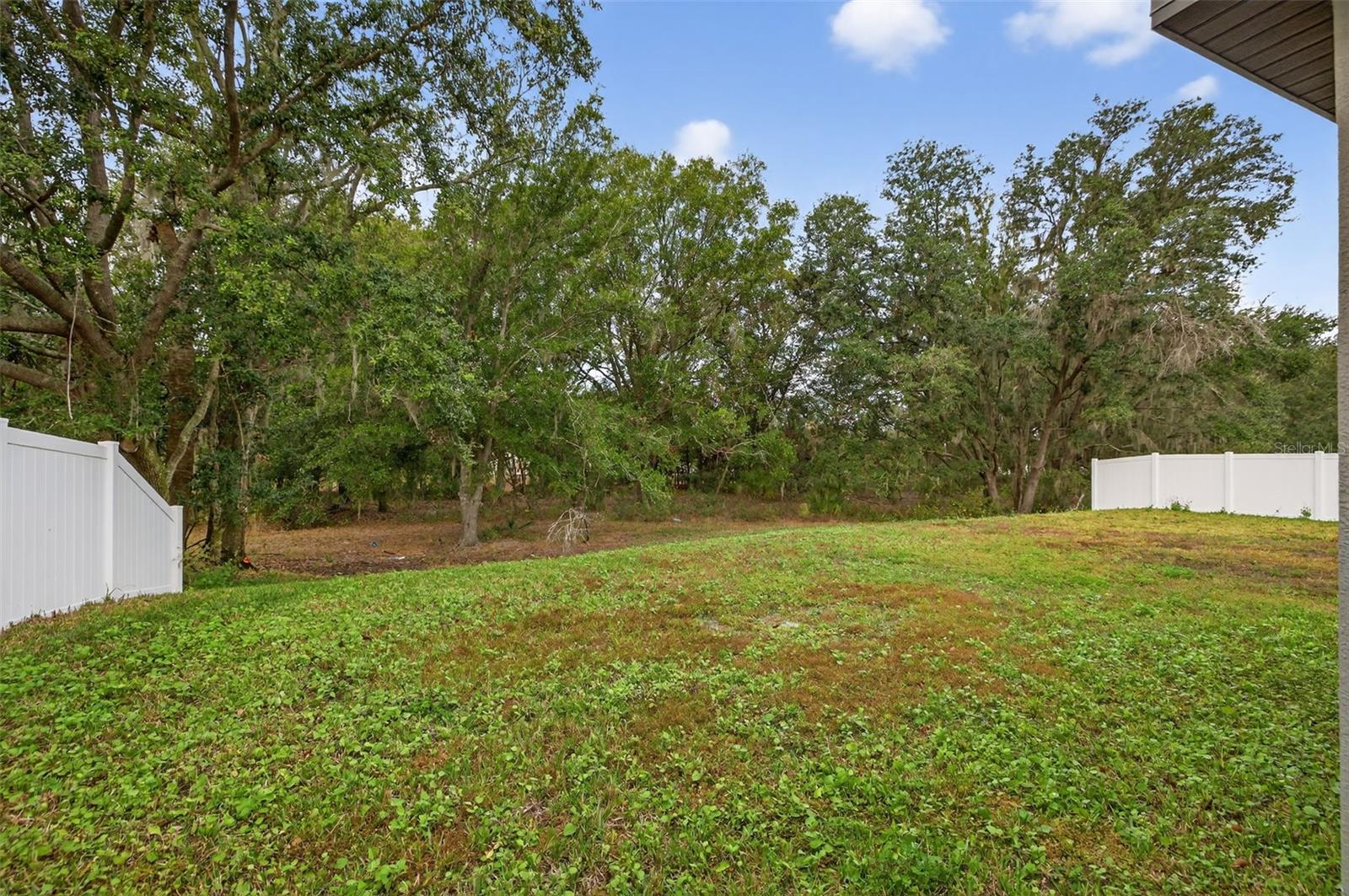 Great Size Backyard with Covered Patio