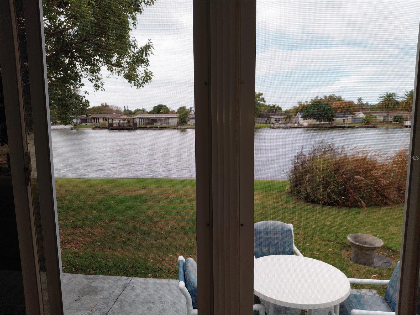 Views From Florida Room/Close Up