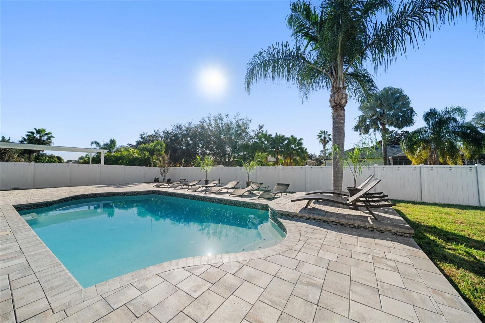 Open sky and Palm trees