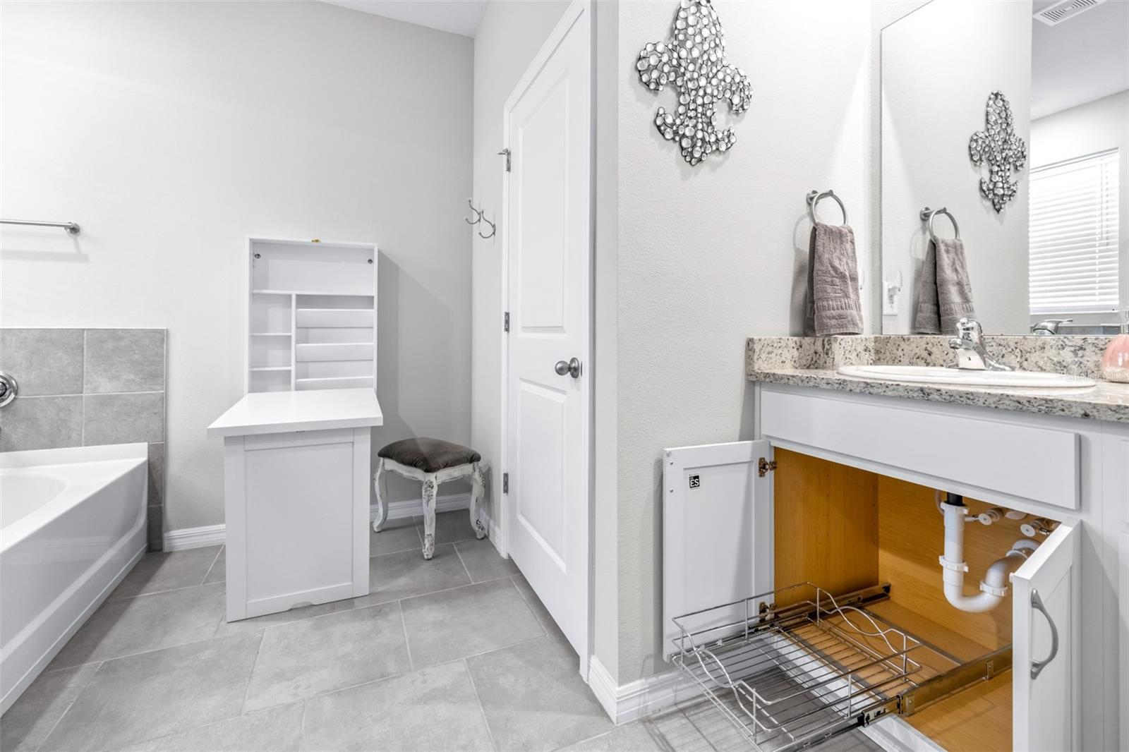 Pull out Vanity and drawer under cabinet