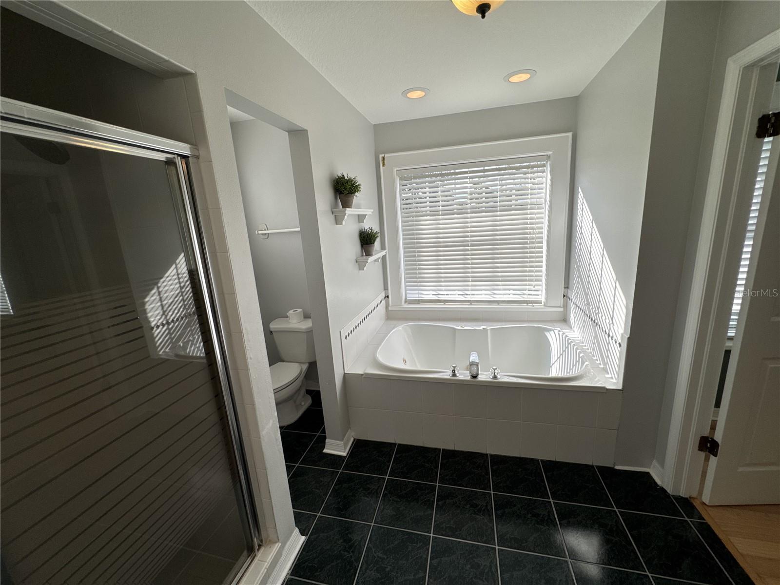 Primary Bathroom tub