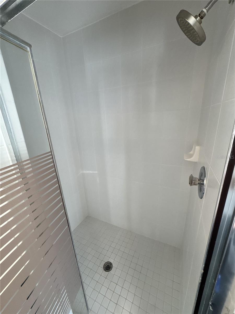 Primary bathroom shower