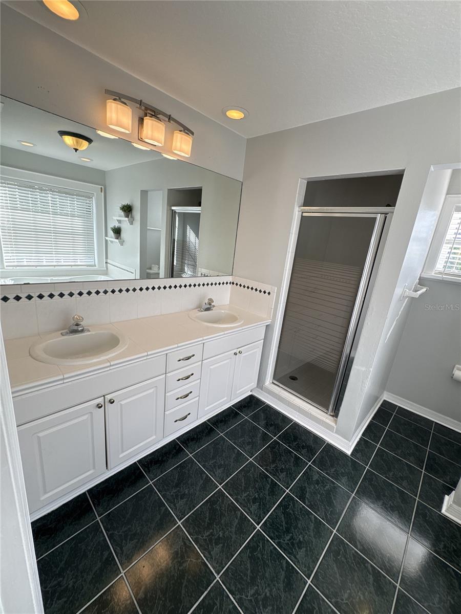 Primary Bathroom sink