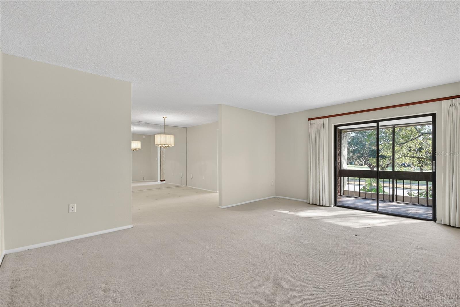 Living Room & Patio Doors