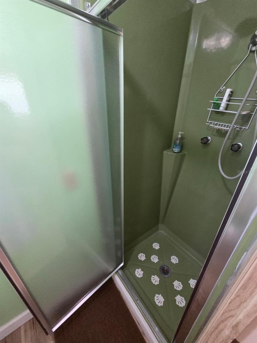 Primary bathroom shower