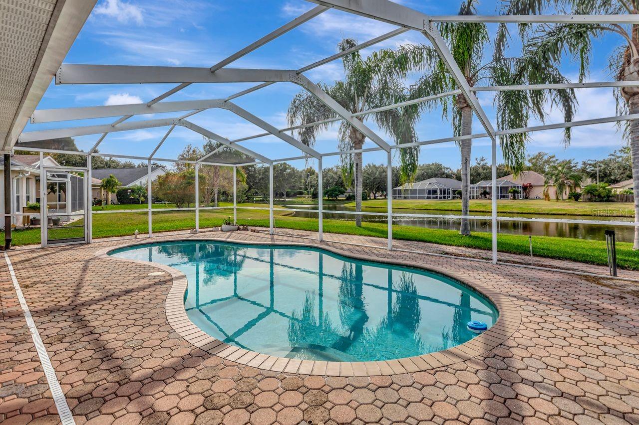 Pool with water view framed by queen palms
