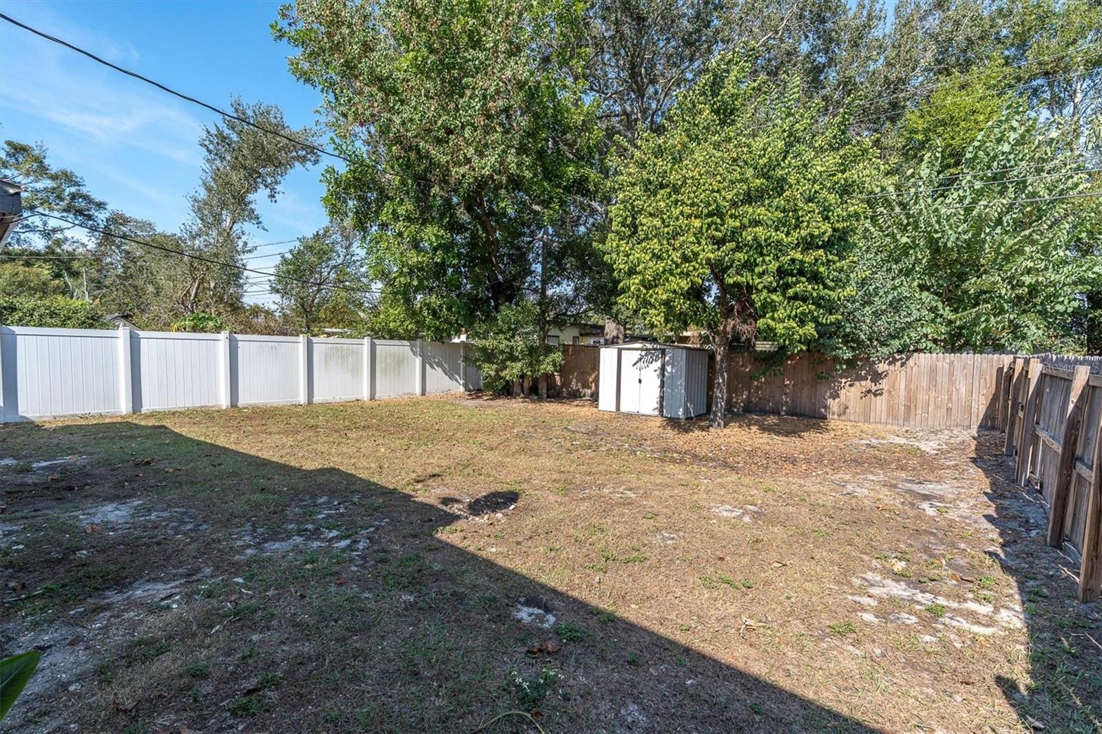 There is a Star Fruit tree in the large back yard.