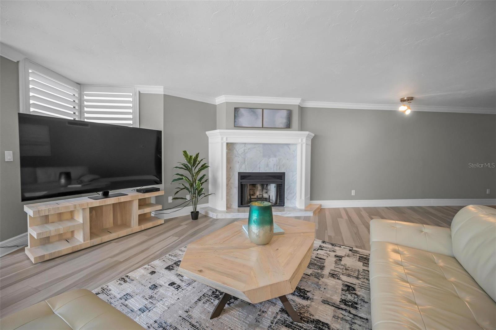 Fireplace in the Living Area