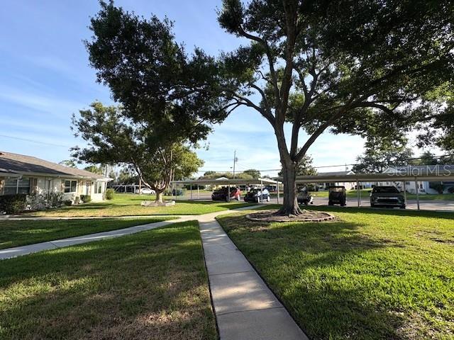 1902 Dandridge St unit 12 sidewalk