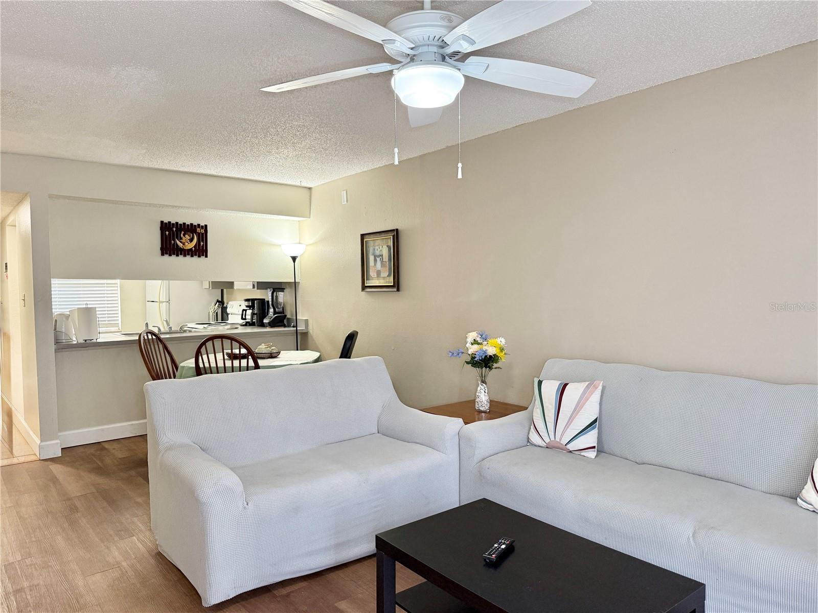 Living Area - Vinyl Floors