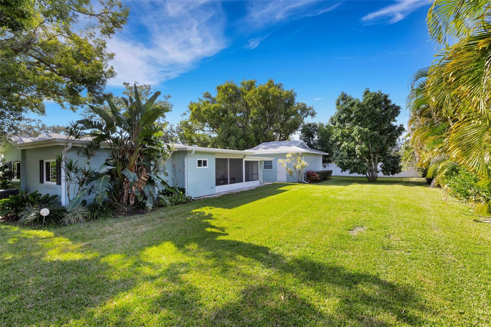 back yard from other angle