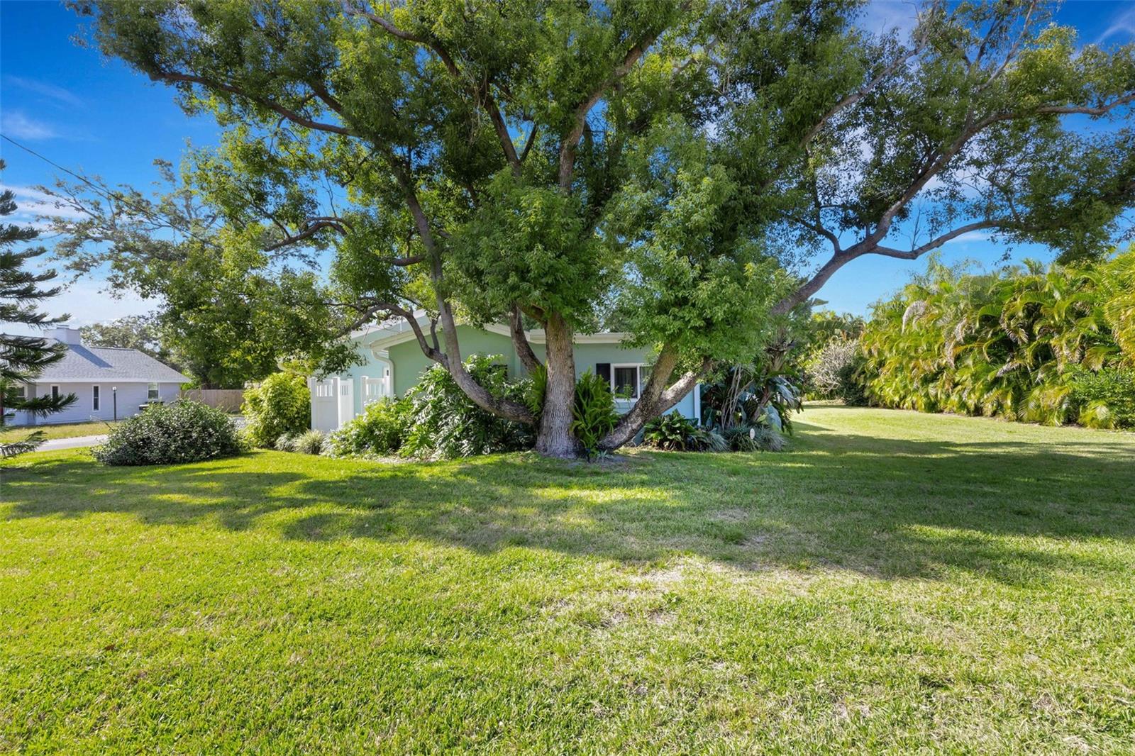 side yard from street