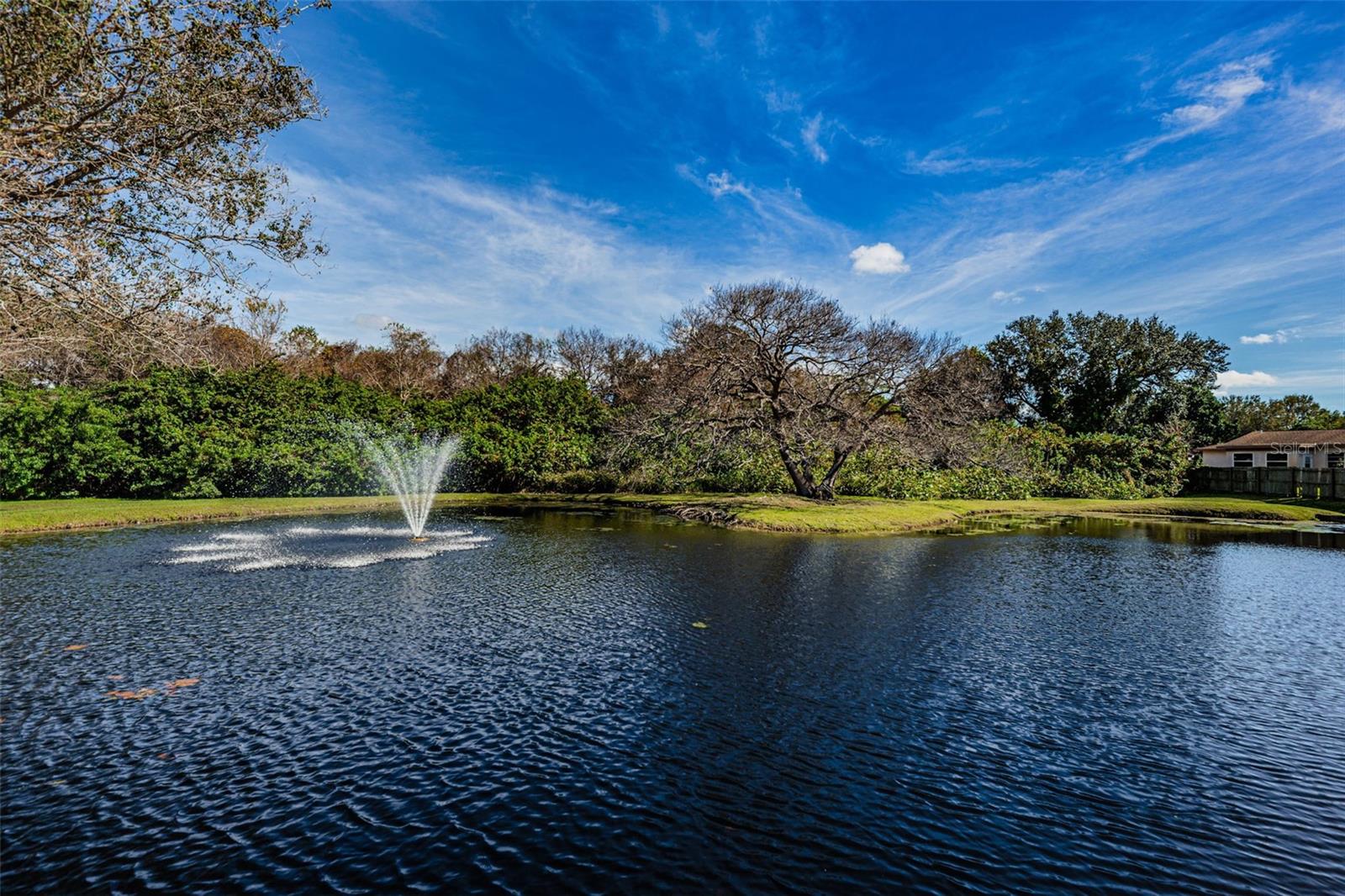 Community Common area