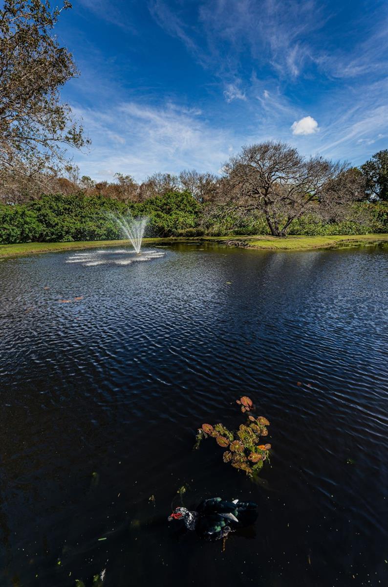 Community Common area