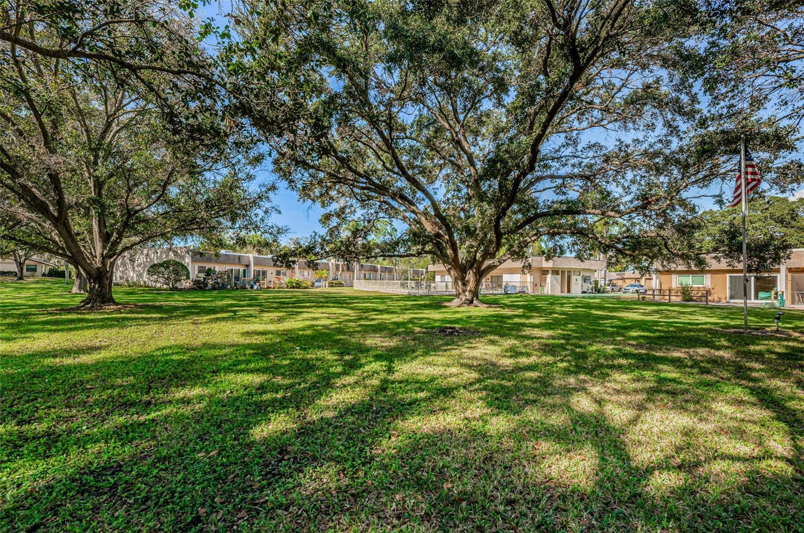 Community Common area