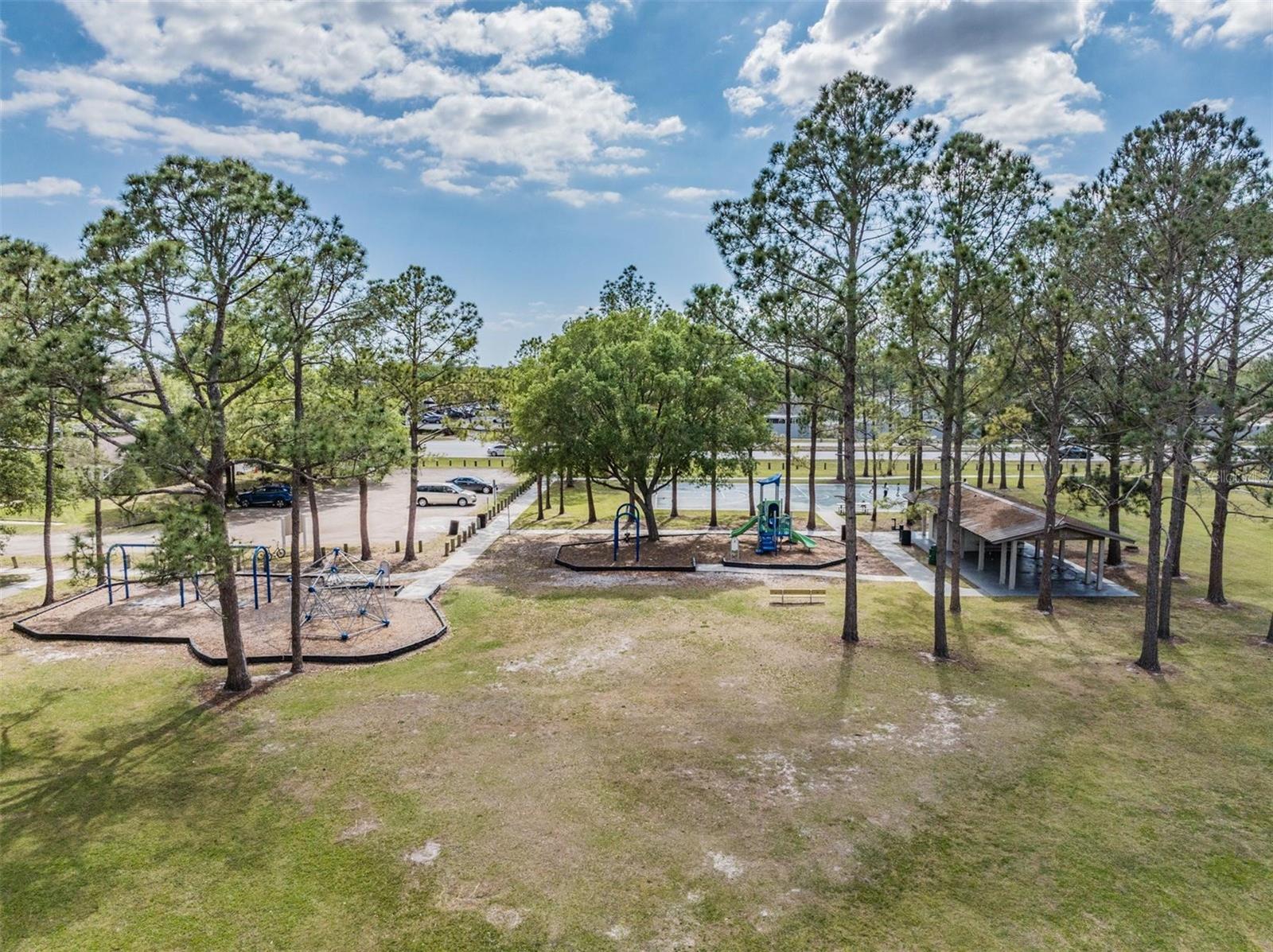 Carrollwood Community Park