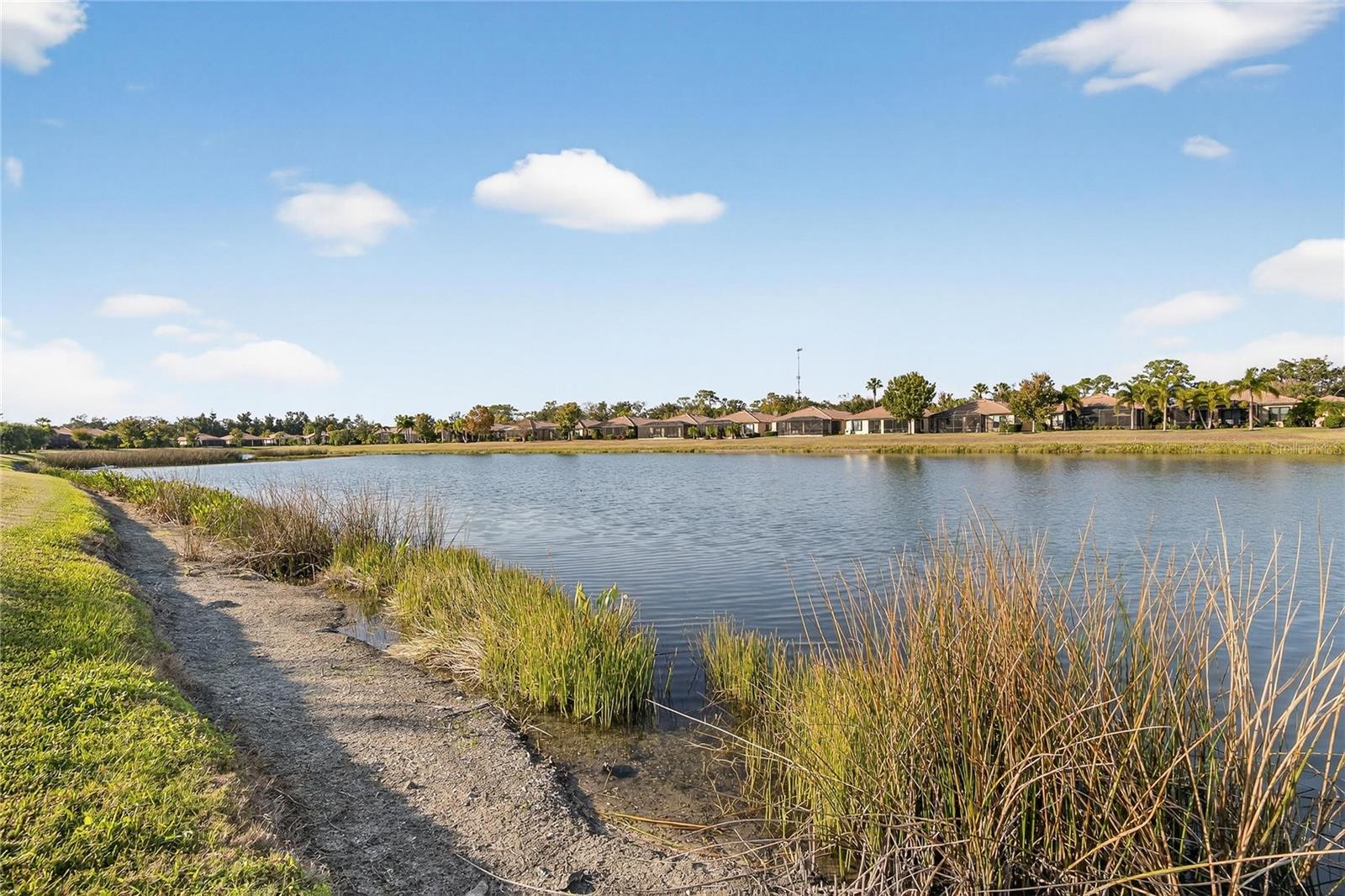 View from rear of home