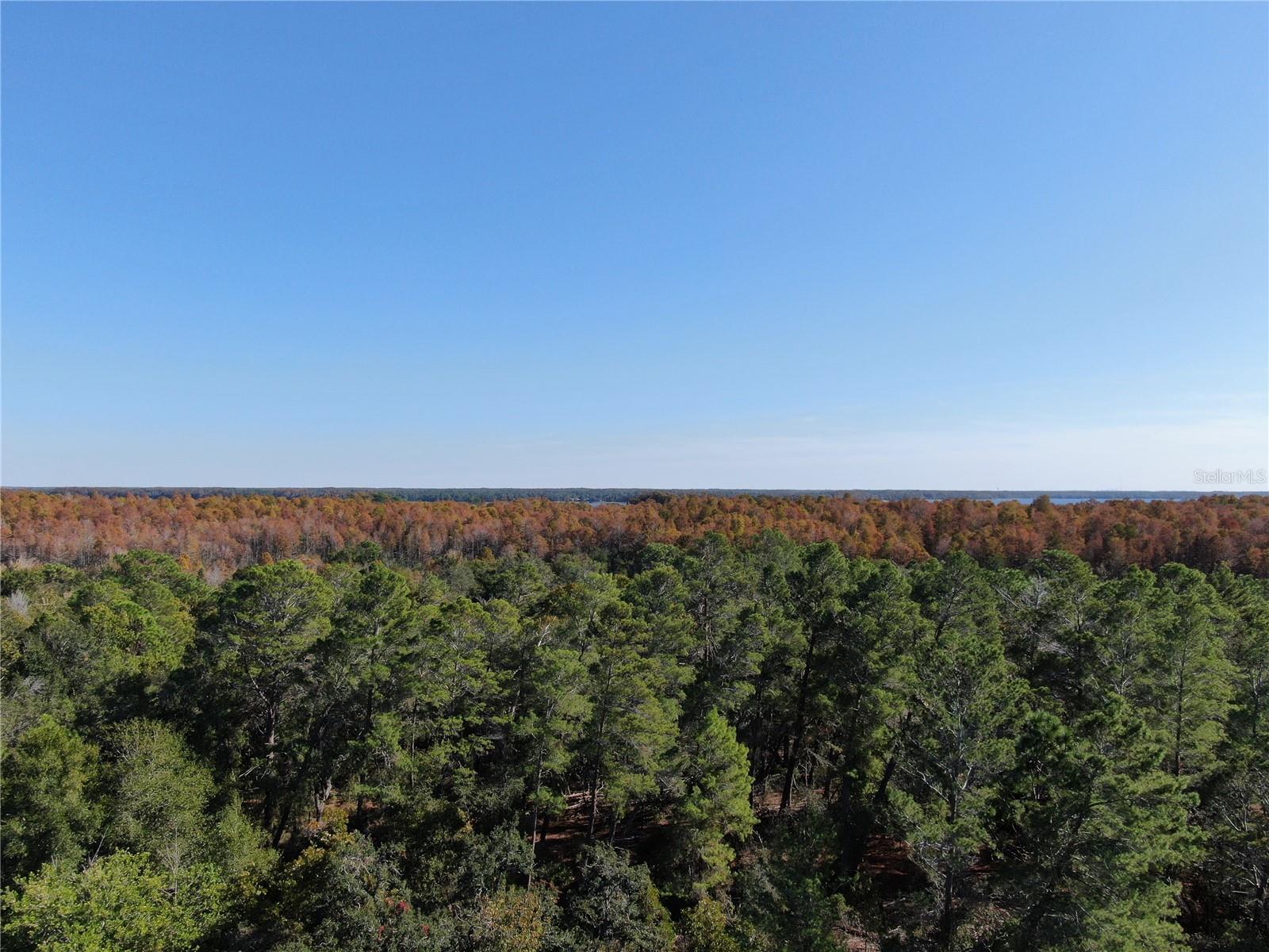 Wilderness is your neighbor