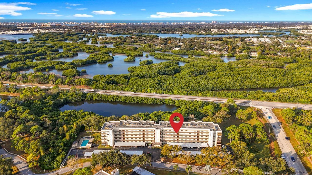Radcliffe building backs up to a natural preserve & bayou.