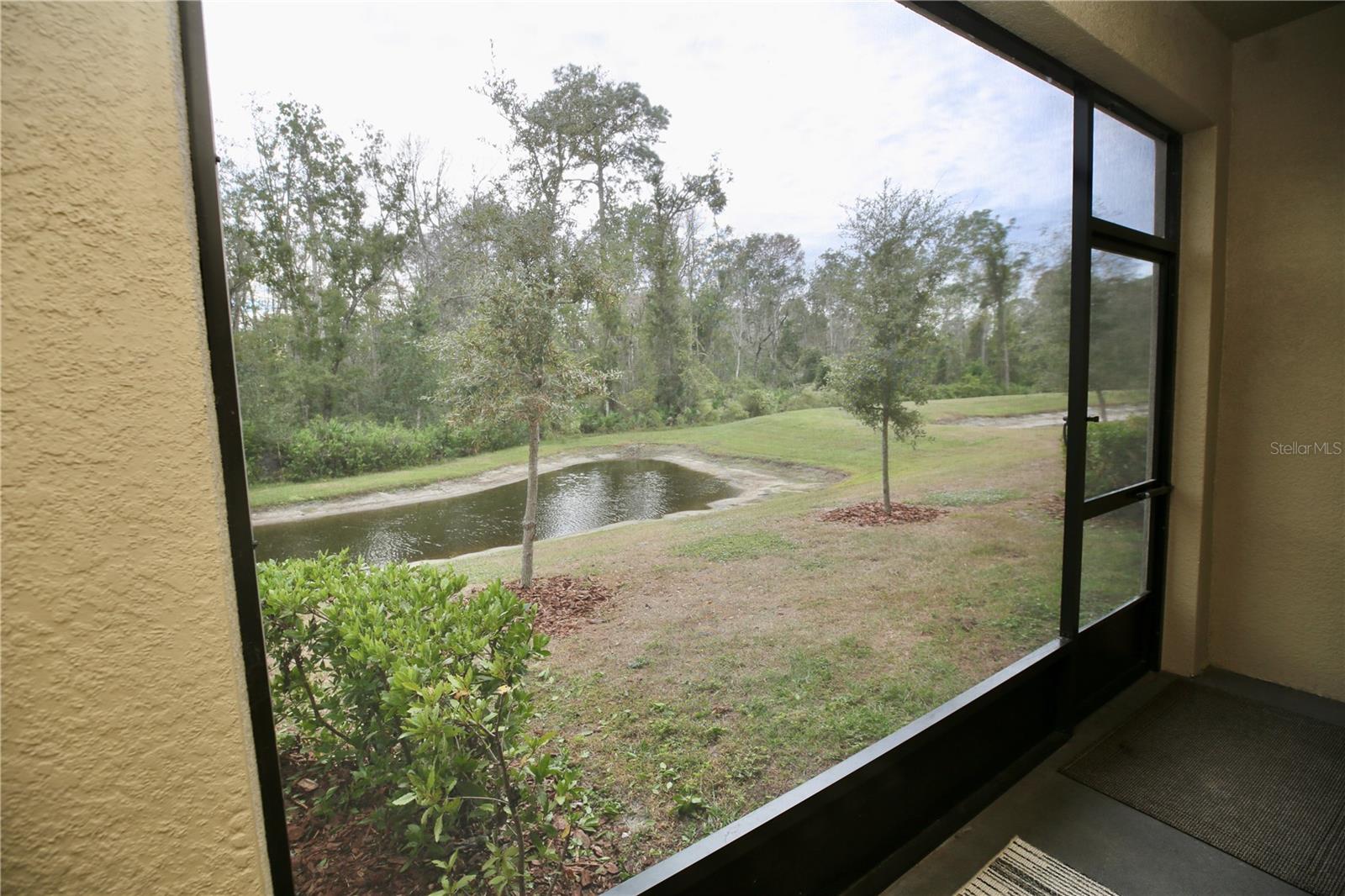 beautiful conservation view