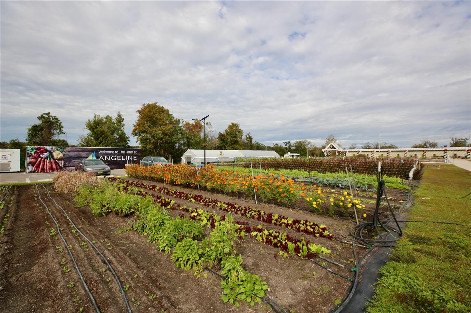 community farm ready for your family to plant
