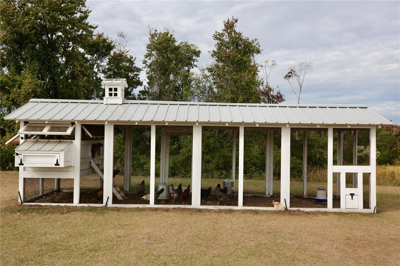 farm fresh eggs available