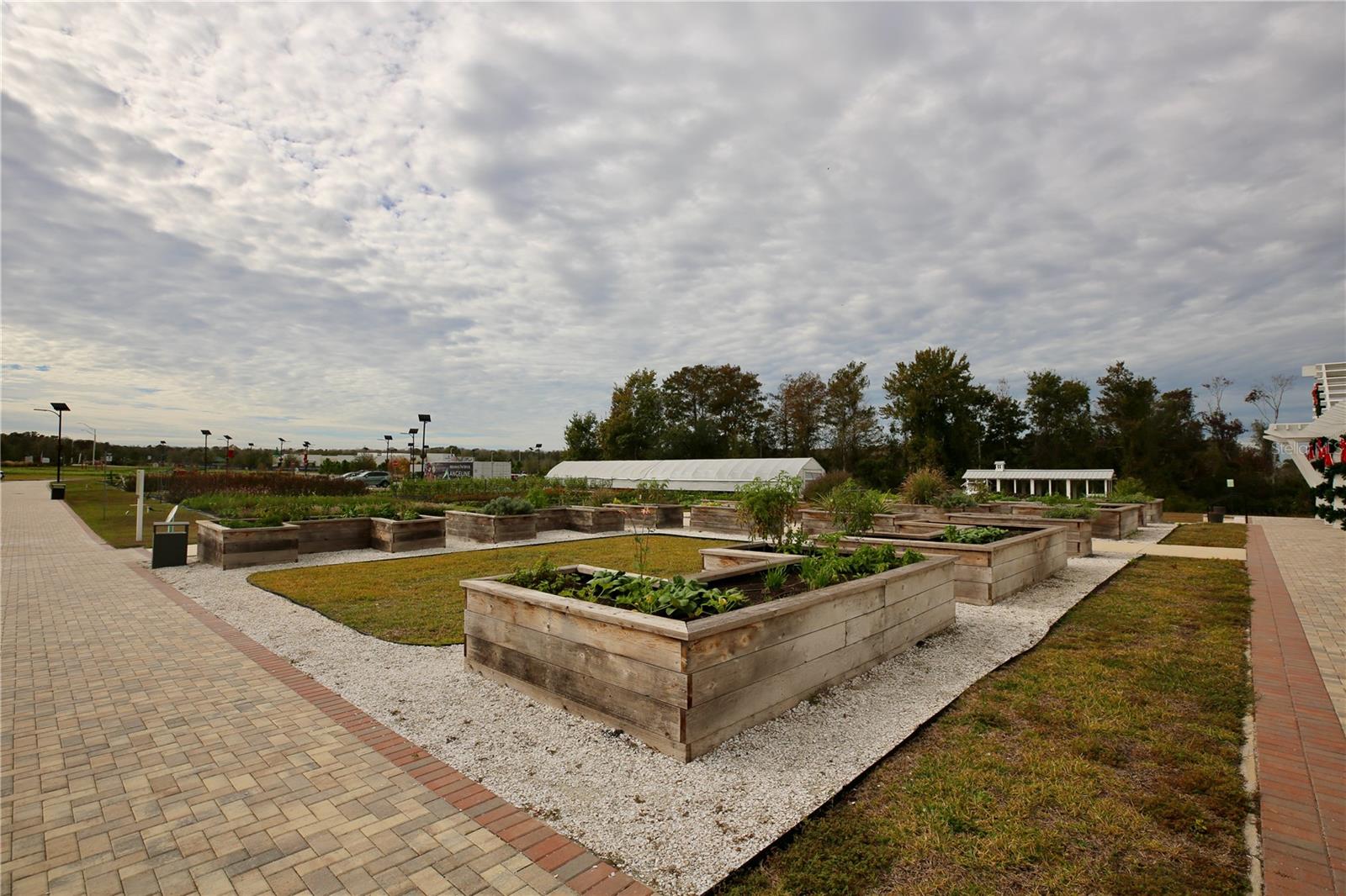 community gardens